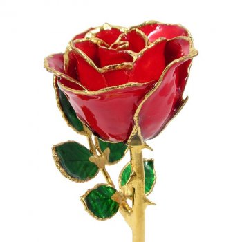 24k Gold Trimmed Rose: 8" Red Rose