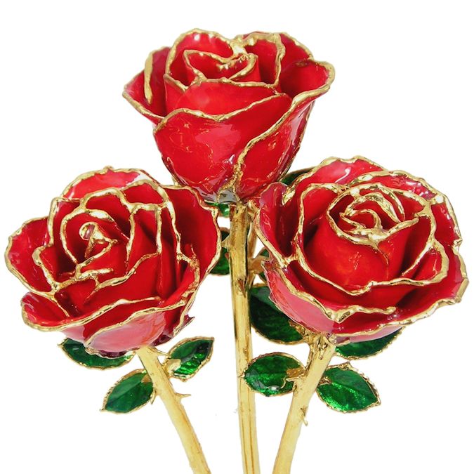  Flower Bloom rose gift bundal