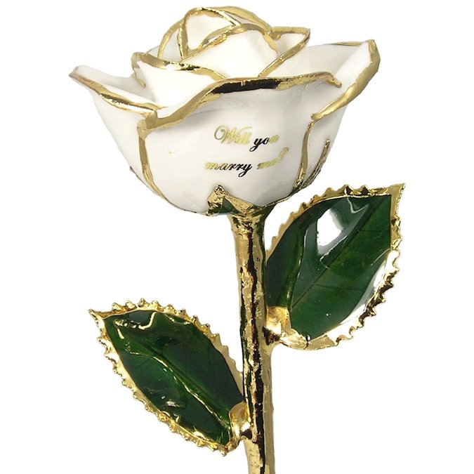  Flower Bloom rose gift bundal