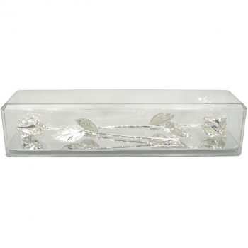 2 Silver Roses in 25th Anniversary Gift Museum Case