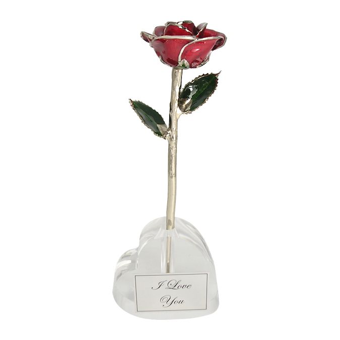  Flower Bloom rose gift bundal