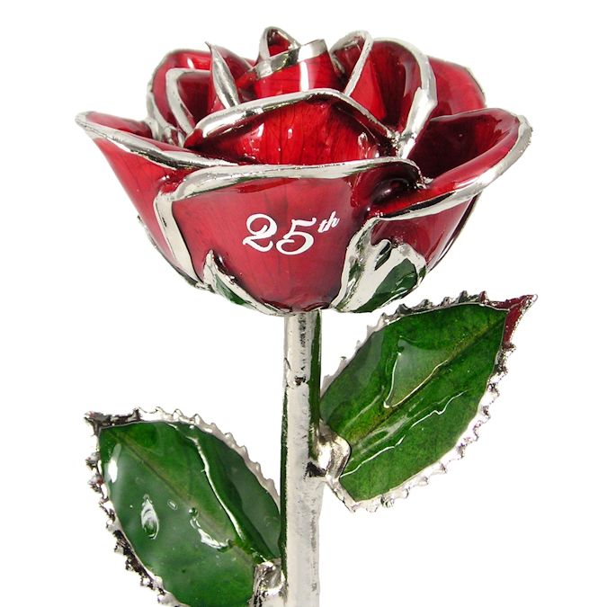  Flower Bloom rose gift bundal