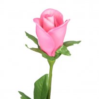 29" Capodimonte Porcelain Long Stem Pink Rosebud