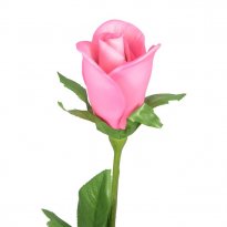 12" Capodimonte Porcelain Long Stem Pink Rosebud