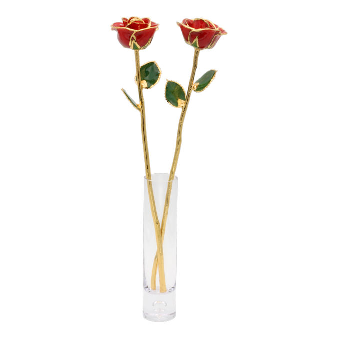  Flower Bloom rose gift bundal