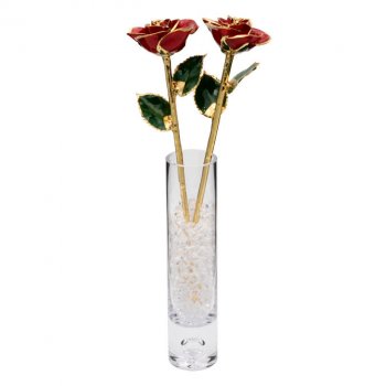 Two 1st Anniversary 11" Gold Trim Roses in Galaxy Vase