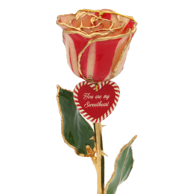  Flower Bloom rose gift bundal