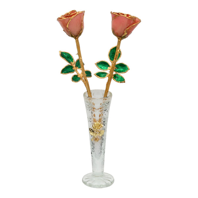  Flower Bloom rose gift bundal