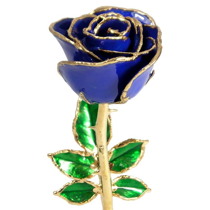  Flower Bloom rose gift bundal