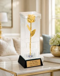 50th Anniversary 8" Gold Rose in Custom Illuminated Case