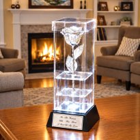 25th Anniversary 8" Silver Rose in Custom Illuminated Case