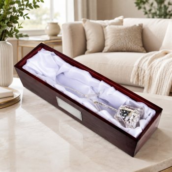 Silver Dipped Rose in Rosewood Case 25th Anniversary Gift