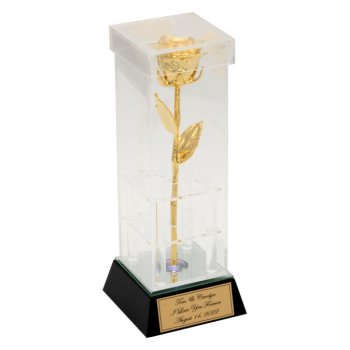 50th Anniversary 8" Gold Rose in Custom Illuminated Case