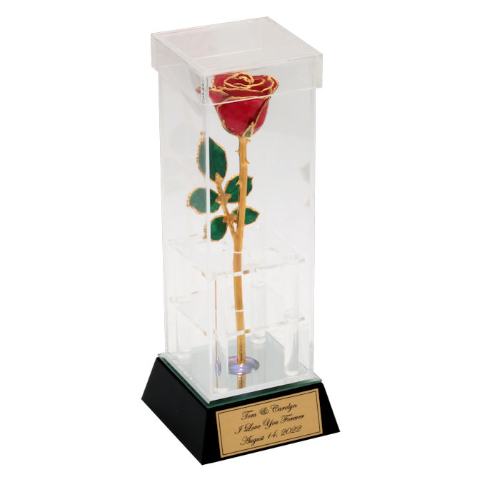  Flower Bloom rose gift bundal