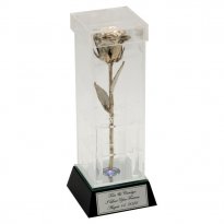 20th Anniversary 8" Platinum Rose in Custom Illuminated Case