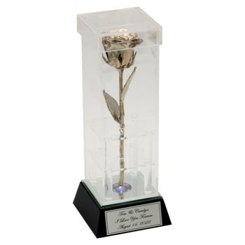 20th Anniversary 8" Platinum Rose in Custom Illuminated Case