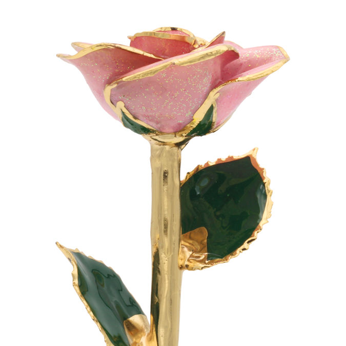  Flower Bloom rose gift bundal