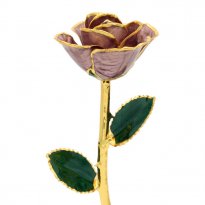 11" 24k Gold Trimmed Velvet Lavender Rose