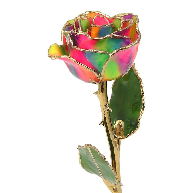 24k Gold Trimmed 11" Rainbow Pride Rose Gift