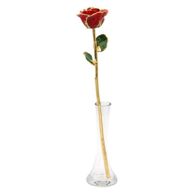  Flower Bloom rose gift bundal