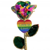 11" LGBT Pride Rainbow Rose Gift