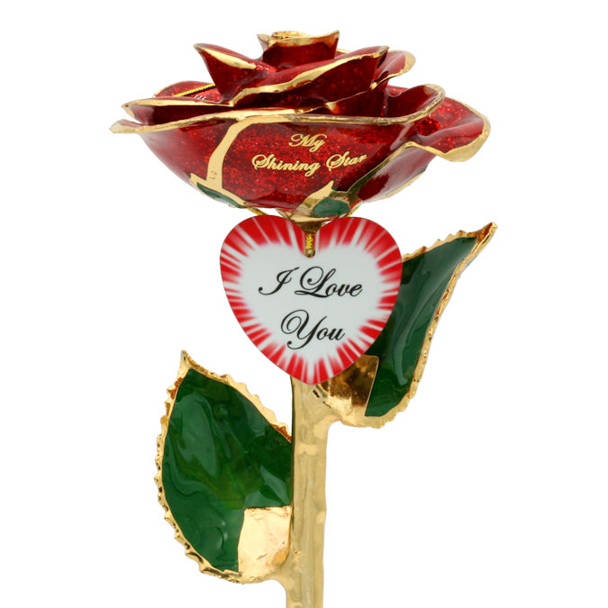  Flower Bloom rose gift bundal