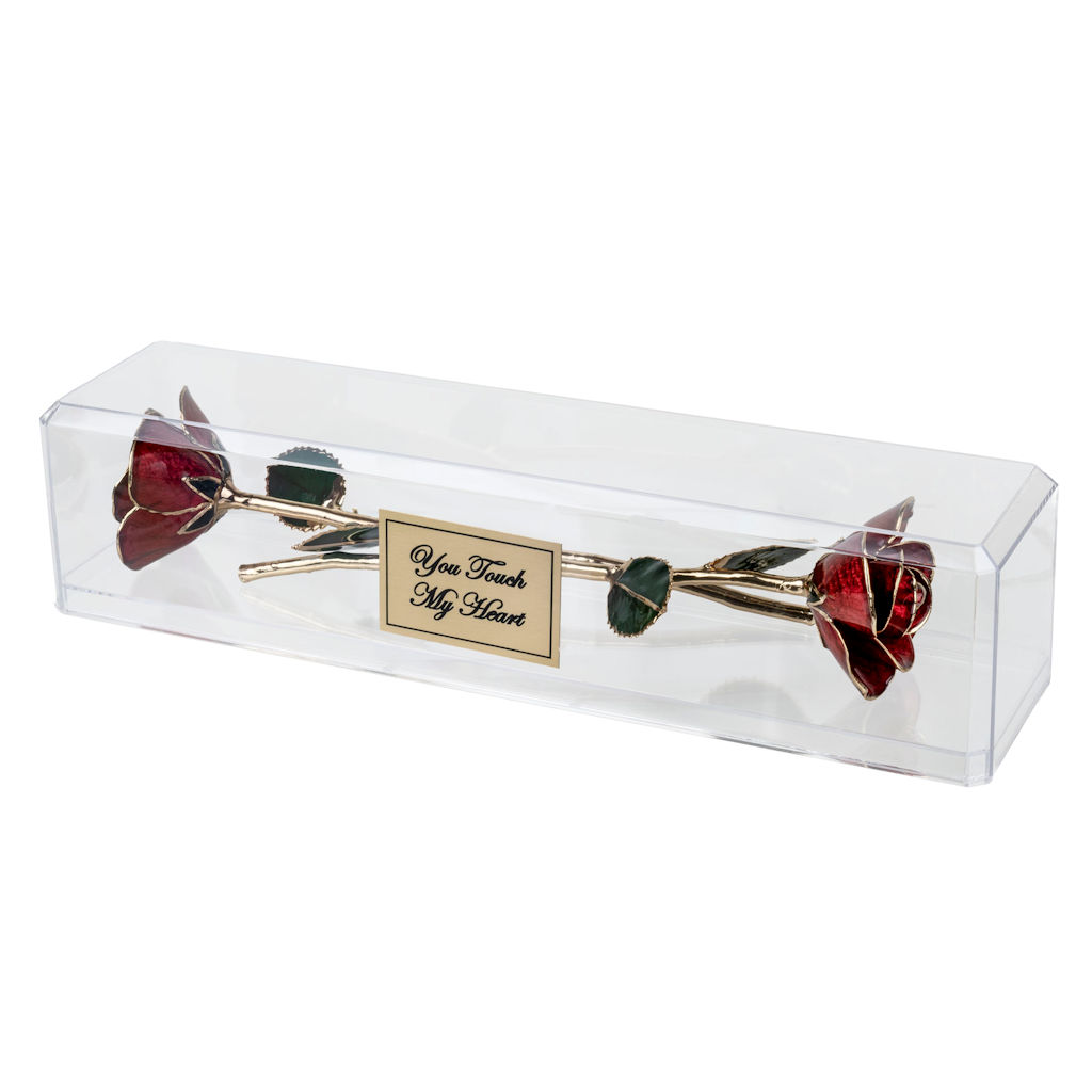 Personalized Anniversary Gift: 2 Gold Trim Roses in Museum Case