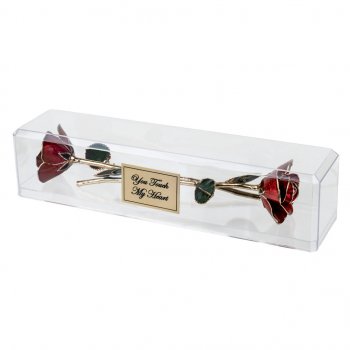 Personalized Anniversary Gift: 2 Gold Trim Roses in Museum Case