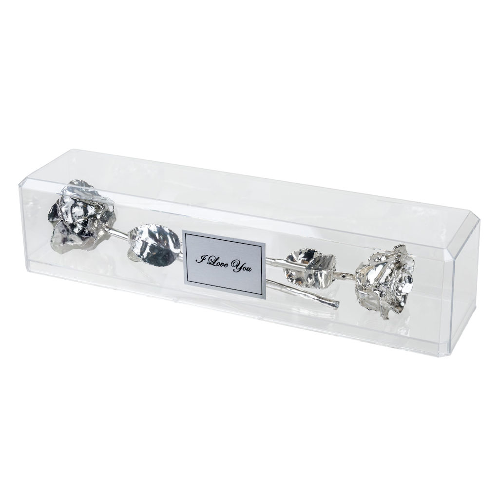 2 Silver Roses in 25th Anniversary Gift Museum Case