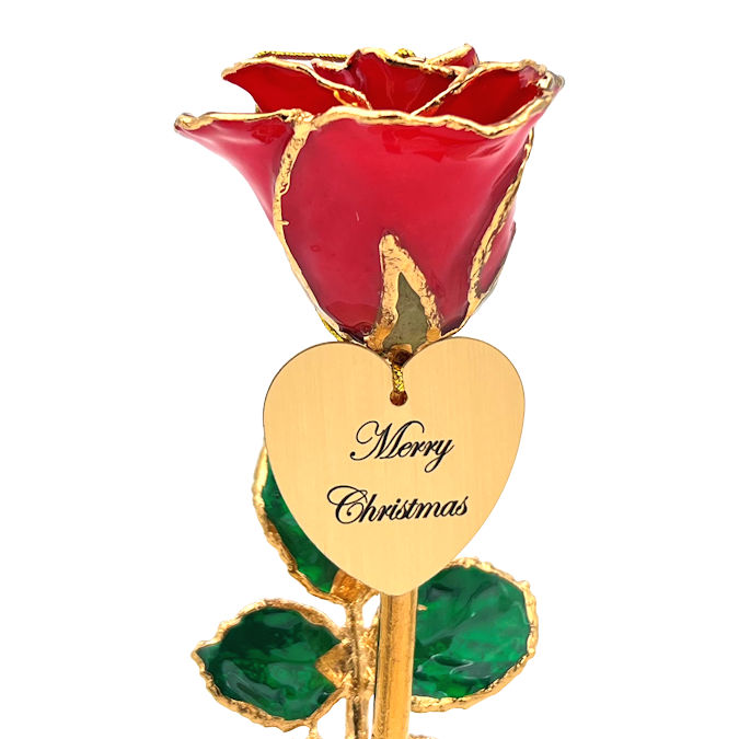  Flower Bloom rose gift bundal