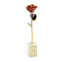 11" Preserved Photo Rose in Personalized Memorial Vase