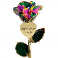 11" Personalized Rainbow Pride 24k Gold Rose