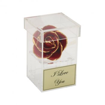 Preserved Rose Bloom in Personalized Case