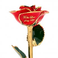 Fiery Love Personalized Valentine's Day Rose Gift