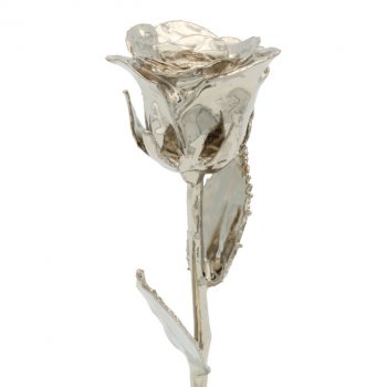8" Platinum Dipped Rose