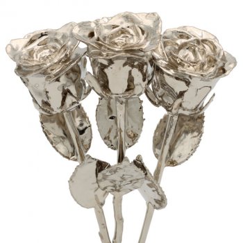 3 Past, Present, Future 8" Platinum Dipped Roses