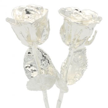 His and Her 8" Silver Dipped Roses