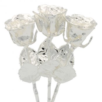 3 Past, Present, Future 8" Silver Dipped Roses