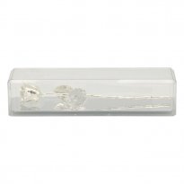 14" Silver Dipped Rose in Museum Case
