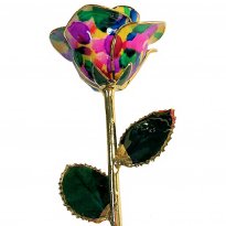 24k Gold Trimmed 11" Rainbow Pride Rose Gift