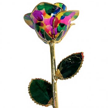 24k Gold Trimmed 11" Rainbow Pride Rose Gift