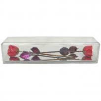 2 Copper Roses in 7th Anniversary Gift Museum Case