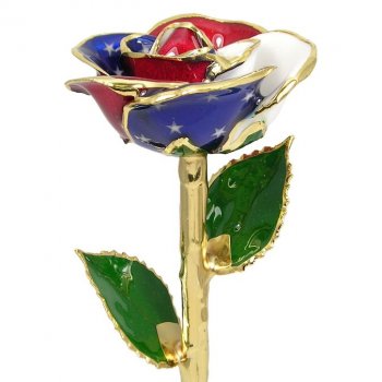 24k Gold American Liberty Rose