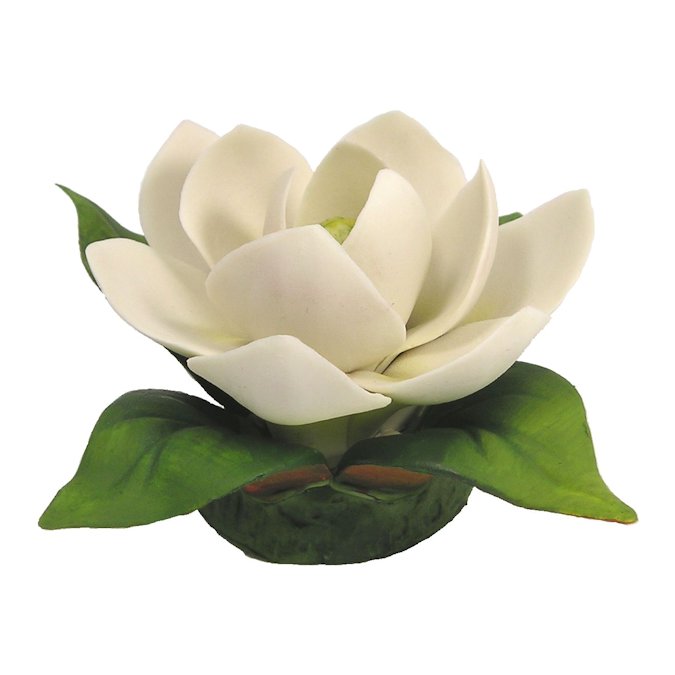 Capodimonte Porcelain Magnolia