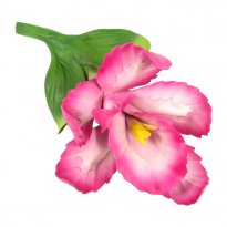 Capodimonte Porcelain Orchid on 2 Leaves