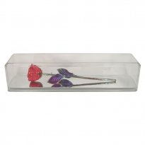 Antique Copper Rose in Museum Case