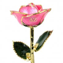 11" Personalized Delta Zeta Greek Letters Rose Gift