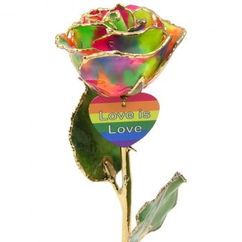 11" LGBT Pride Rainbow Rose Gift