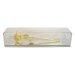 Image Thumbnail of: 11" 24k Gold Dipped Rose in Museum Case