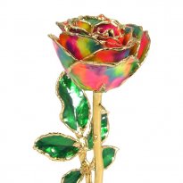 24k Gold Trimmed 8" Love's on Fire Rose Gift